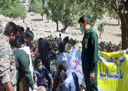 واکسیناسیون ۲۵ هزار راس دام عشایر در خوزستان