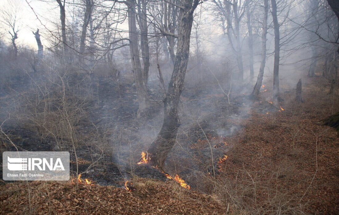 پنج هکتار از جنگل‌های دزفول در آتش سوخت