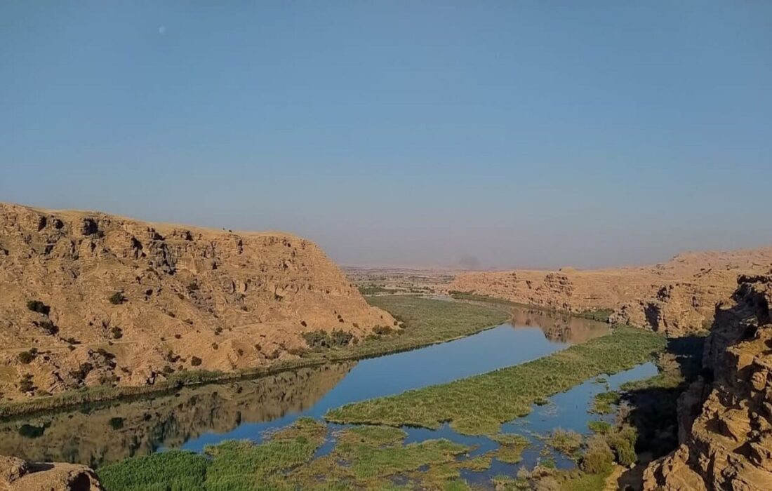 دریاچه سد تنظیمی گتوند، غرق در نیزار