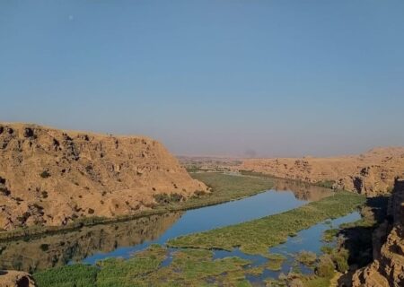 دریاچه سد تنظیمی گتوند، غرق در نیزار