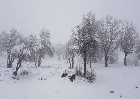 برف مسیر ارتباطی سه روستای منطقه عشایری اندیکا را مسدود کرد