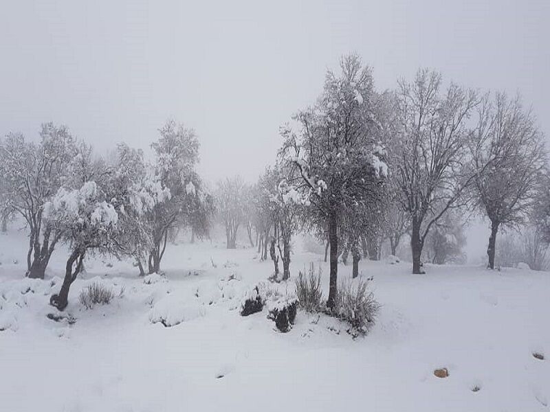 برف مسیر ارتباطی سه روستای منطقه عشایری اندیکا را مسدود کرد