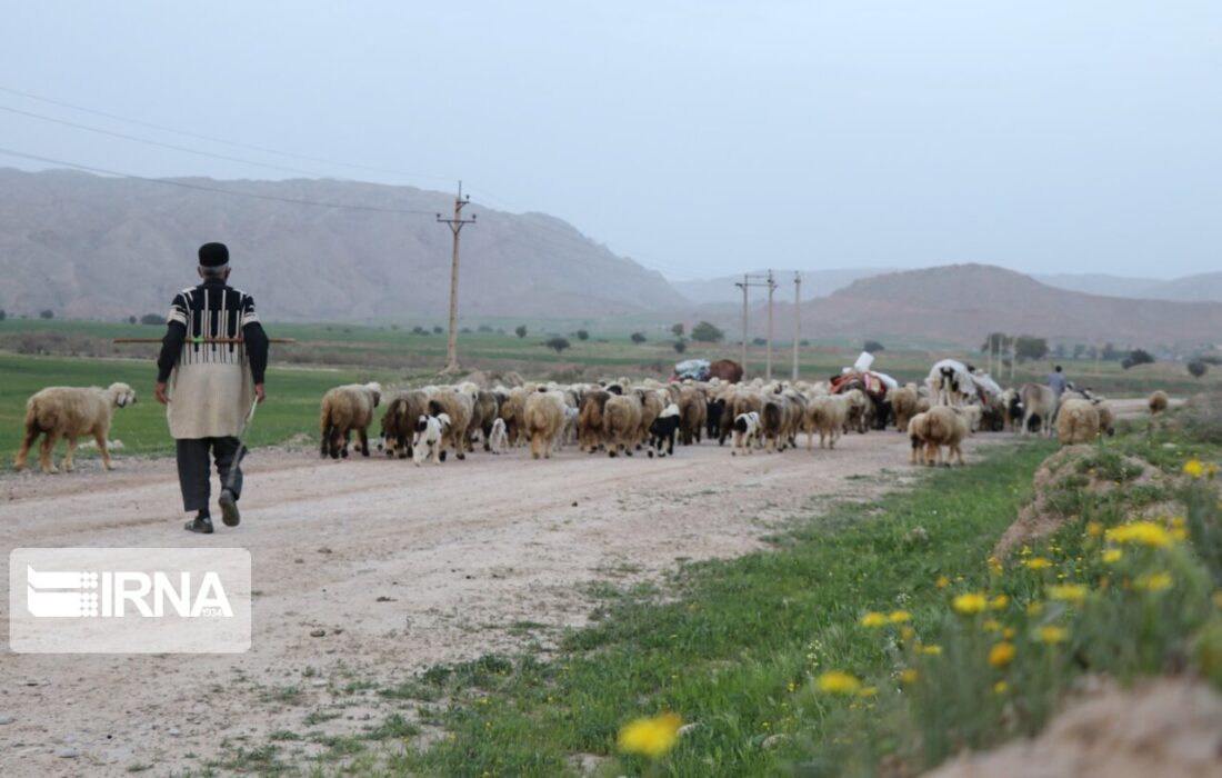 کوچ بهاره عشایر اندیکا آغاز شد