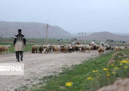 کوچ بهاره عشایر اندیکا آغاز شد