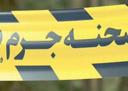 هولناک‌ترین جنایت سال در تهران / دختر پشت کنکوری خانواده‌اش را قتل عام کرد + اعترافات قاتل/ چندین بار اقدام به قتل برای رفتن به خارج!
