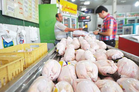 قیمت مرغ کشتار روز در اهواز کاهش یافت