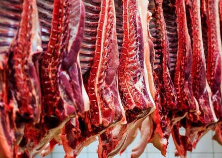 بیش از ۱۰۰۰ کیلوگرم گوشت قرمز مبتلا به سل گاوی در مسجدسلیمان معدوم شد