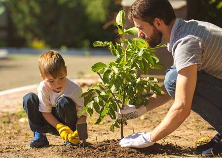 اجرای”طرح کاشت یک میلیارد درخت” از مهرماه
