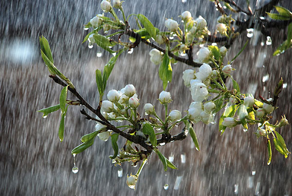 پیش‌بینی بارش «نرمال» برای پاییز امسال