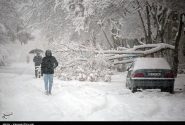 هواشناسی: برف تمام ایران را فرا می‌گیرد / اعلام زمان آغاز بارش‌های گسترده‌ترین سامانه بارشی سال