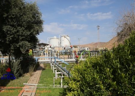سرانه فضای سبز در شرکت نفت و گاز مسجدسلیمان بالاتر از تکلیف قانونی است