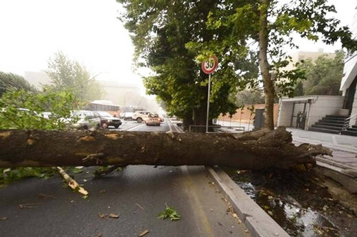 مرگ دردناک ۲ دانش آموز بخاطر وزش تند باد / اعلام جرم برای مدیران آموزش و پرورش