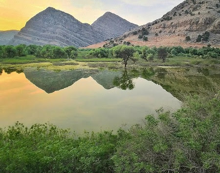 با پایان سخت سازه محقق می‌شود؛ روزهای خوب تالاب شیمبار خوزستان