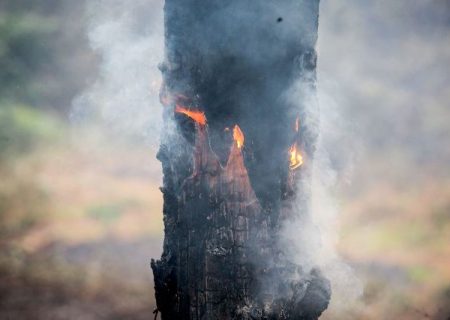 کشاورزان مقصر در آتش گرفتن منابع طبیعی به دستگاه قضا معرفی می‌شوند