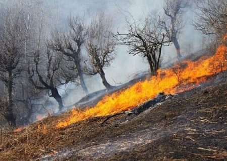 آتش‌سوزی در عرصه‌های منابع طبیعی باغملک و دشت آزادگان مهار شد