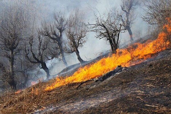 آتش‌سوزی در عرصه‌های منابع طبیعی باغملک و دشت آزادگان مهار شد