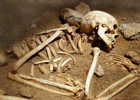 کشف دندان ۴۵۰ هزار ساله قدمت سکونت انسان در فلات ایران را به نیم‌میلیون سال نزدیک کرد