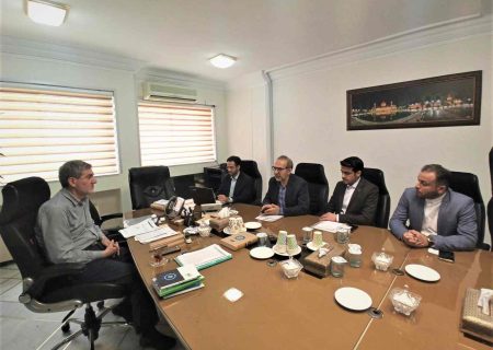 نشست گسترش زیرساخت های پارک علم و فناوری سلامت شیراز برگزار شد