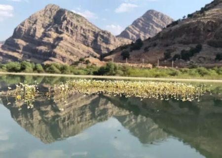 دشت شیمبار خوزستان؛نمونه ای زیبا از طبیعت ایران