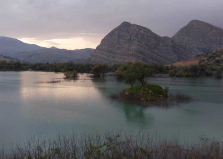 لزوم انجام مطالعات جدید برای نگهداشت آب در تالاب شیمبار