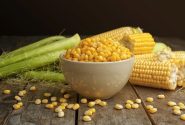 ذرت؛ دانه ای انرژی‌بخش طبیعی برای کودکان و بزرگسالان