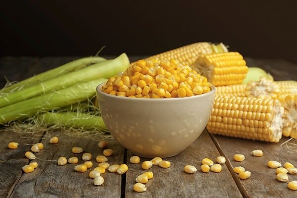 ذرت؛ دانه ای انرژی‌بخش طبیعی برای کودکان و بزرگسالان