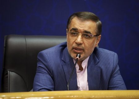 گودرزی: ظرفیت های سرمایه گذاری در فارس مغفول مانده است