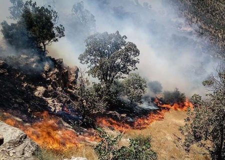 تداوم آتش‌سوزی در جنگل‌های فارس