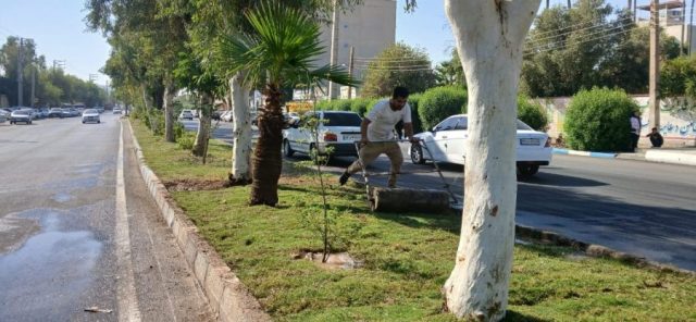 گام تازه شهرداری مسجدسلیمان در توسعه و زیباسازی فضای سبز شهری