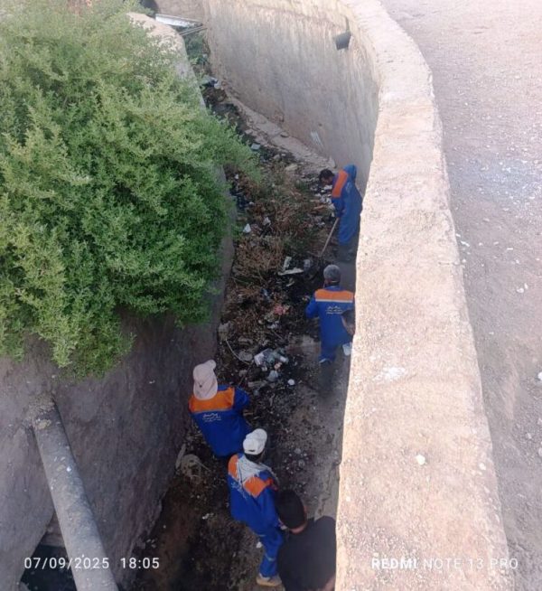 گزارش عملکرد هفتگی معاونت خدمات شهری (واحد خدمات) شهرداری مسجدسلیمان