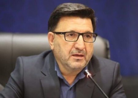 رد شایعات توقف طرح ساماندهی اتباع در فارس؛ ساماندهی اتباع یک ضرورت است