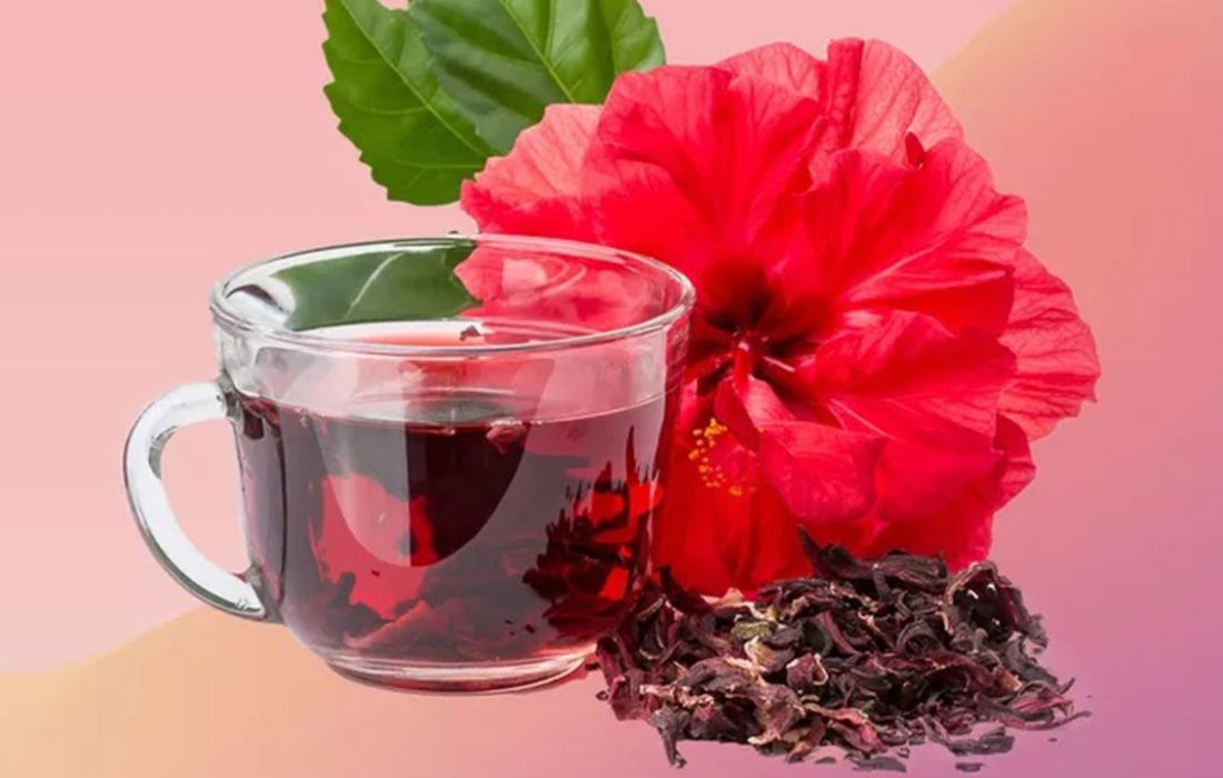 برداشت چای ترش از مزارع گتوند