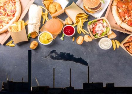 توصیه‌های تغذیه‌ای برای کاهش خطرات سلامتی آلودگی هوا