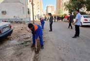 پاکسازی و هرس فضای سبز و درختان شهرک ولیعصر در پاسخ به مطالبه ساکنان