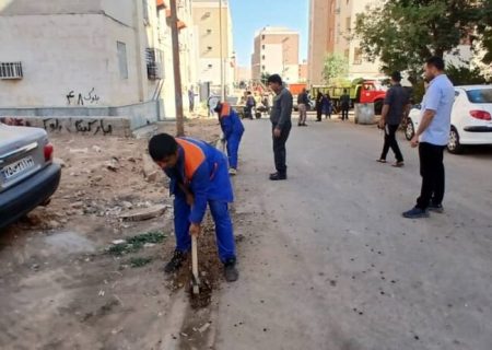پاکسازی و هرس فضای سبز و درختان شهرک ولیعصر در پاسخ به مطالبه ساکنان