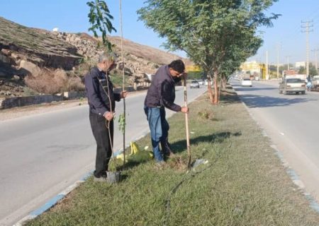 حرکت سبز شهرداری در سطح شهر؛ کاشت و ساماندهی فضای سبز در محورهای اصلی