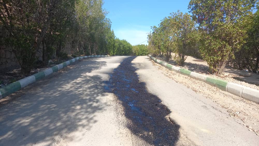 ساماندهی مسیر تپه شهدای گمنام نفتک با ترمیم و اجرای آسفالت نوار حفاری