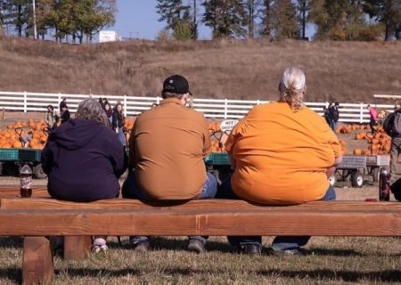 تیپ بدنی شما چیست؟ ؛ ویژگی‌های فیزیکی هر تیپ بدنی