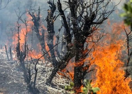 کاهش ۵۰ درصدی آتش‌سوزی مراتع و جنگل‌های خوزستان