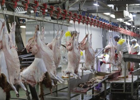 راه‌اندازی سردخانه کشتارگاه سنتی دام مسجدسلیمان